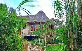 Chimpanzee Capital Safari Lodge