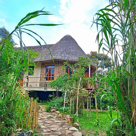 Chimpanzee Capital Safari Lodge Bigodi Buitenkant foto