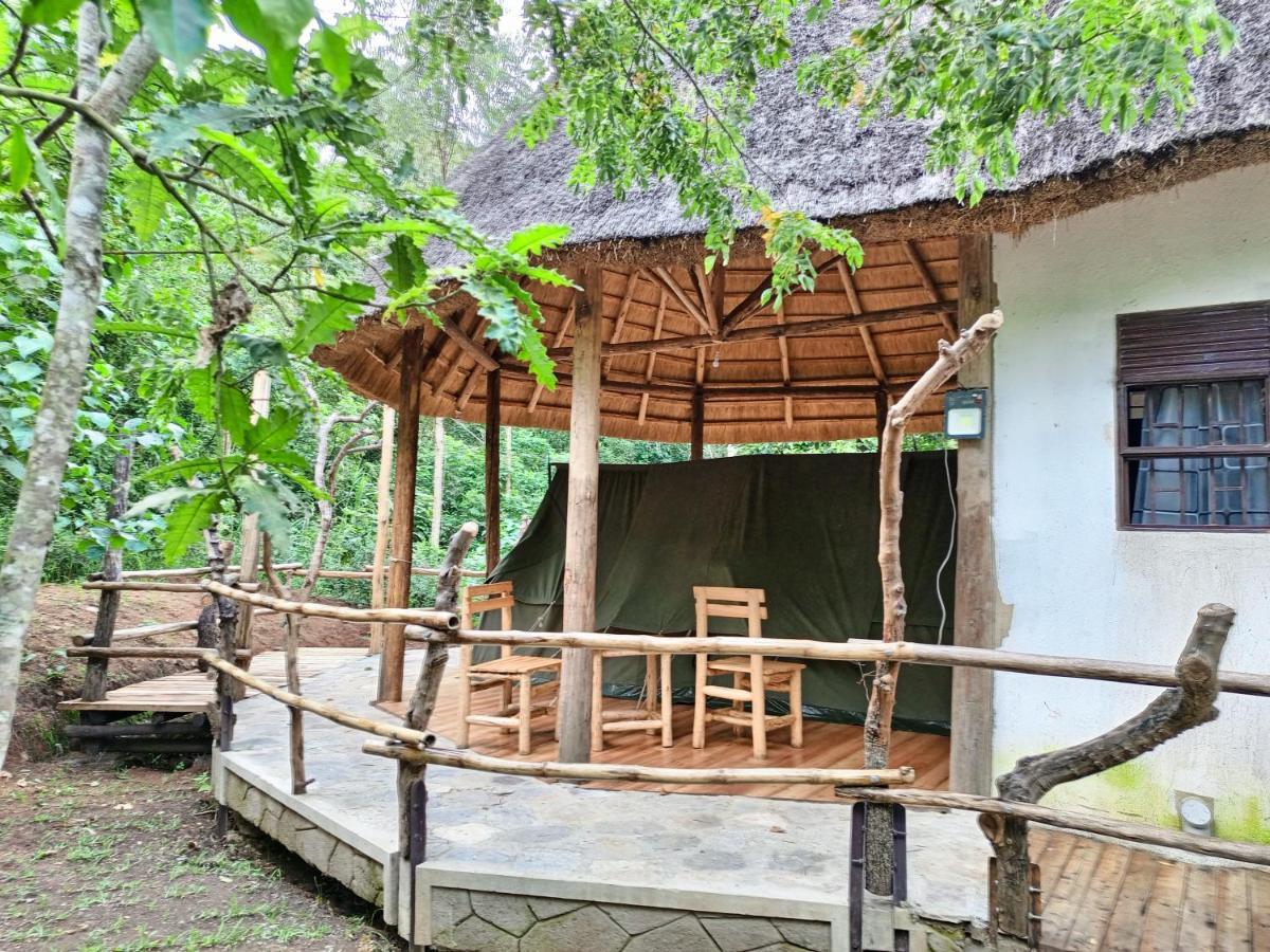 Chimpanzee Capital Safari Lodge Bigodi Buitenkant foto