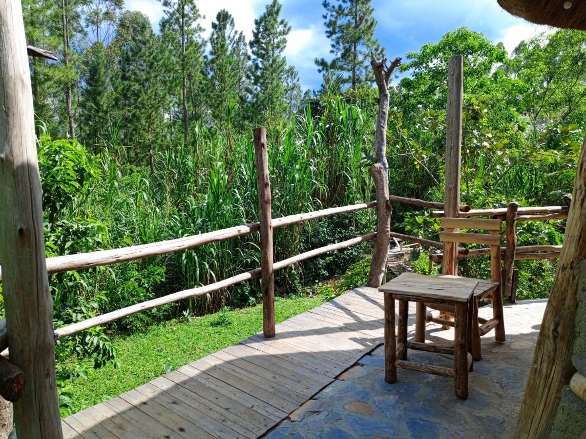 Chimpanzee Capital Safari Lodge Bigodi Buitenkant foto